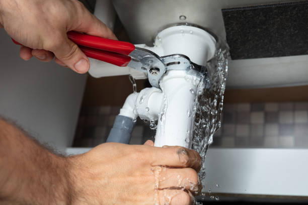 Best Local water damage restoration  in Edinboro, PA