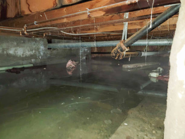 Carpet water damage restoration in Edinboro, PA
