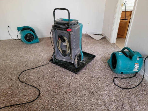 Trusted Edinboro, PA Water damage restoration Experts