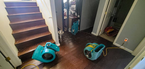 Best Residential water damage restoration  in Edinboro, PA