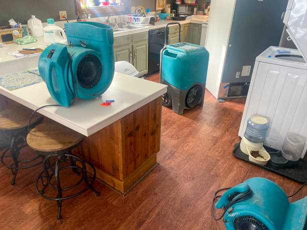 Best Water damage restoration experts  in Edinboro, PA