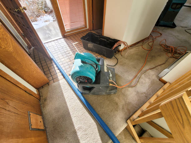 Best Flood damage cleanup  in Edinboro, PA