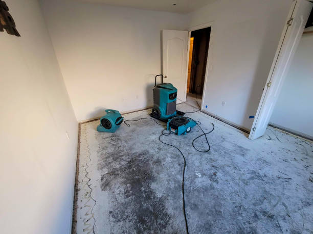 Best Emergency water damage restoration  in Edinboro, PA