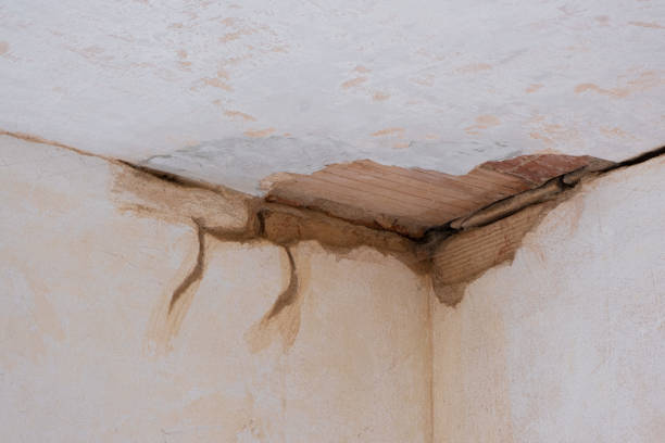 Best Water damage repair service  in Edinboro, PA