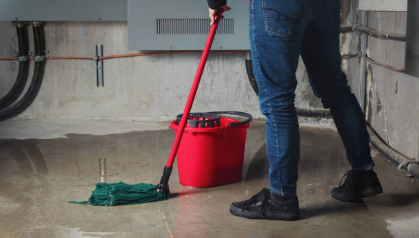 Best Professional water damage repair  in Edinboro, PA
