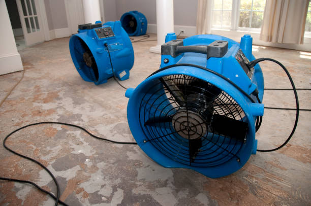 Best Mold removal after water damage  in Edinboro, PA